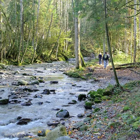 Im Allgaeu *